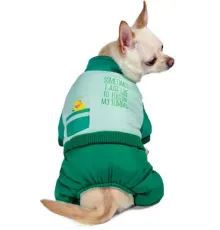 Triol Комбинезон зимний Disney Winnie the Pooh Green L