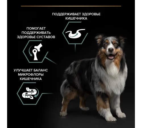 Pro Plan Medium Adult Sensitive Digestion (Ягненок), 3 кг