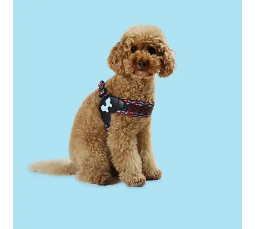 United Pets Шлейка Complete me, красная зебра, S 42 x 44-58 см