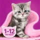 Whiskas для котят рагу с курицей, 75 г х 28 шт (уп)