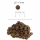 Blitz Classic Breeders Adult Cat (Курица), 10 кг