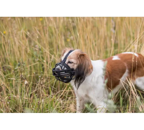 Trixie Намордник Muzzle Flex, S, 20 см