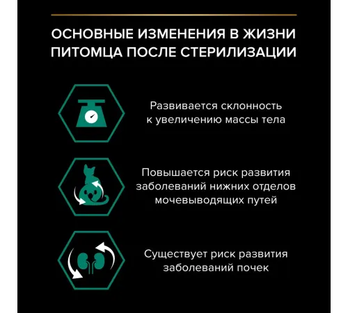 Pro Plan Sterilised Maintenance (Говядина в соусе), 85 г