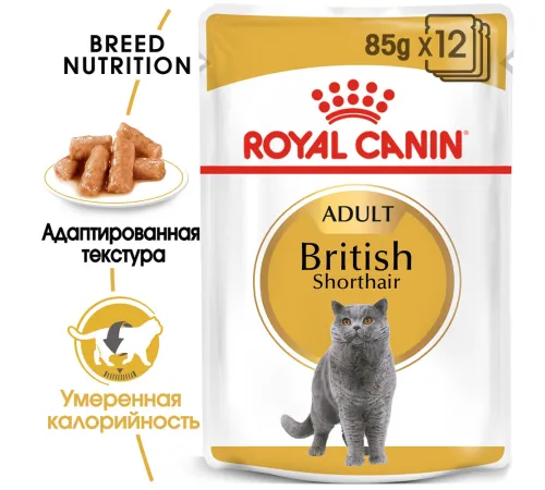 Royal Canin British Shorthair Adult (соус), 85 г 28 шт (уп)
