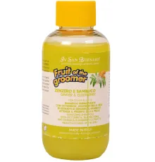 Iv San Bernard Шампунь Fruit of the Groomer Ginger&Elderbery, 100 мл