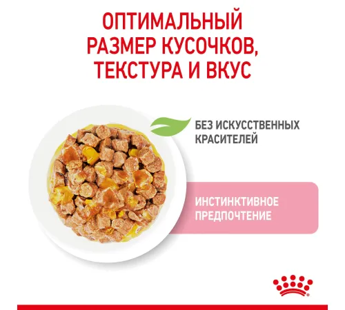 Royal Canin Kitten (желе) 85 гр