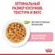 Royal Canin Kitten (желе) 85 гр