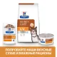 Hill's Prescription Diet k/d Kidney Care Влажный корм для кошек с курицей, 85 г