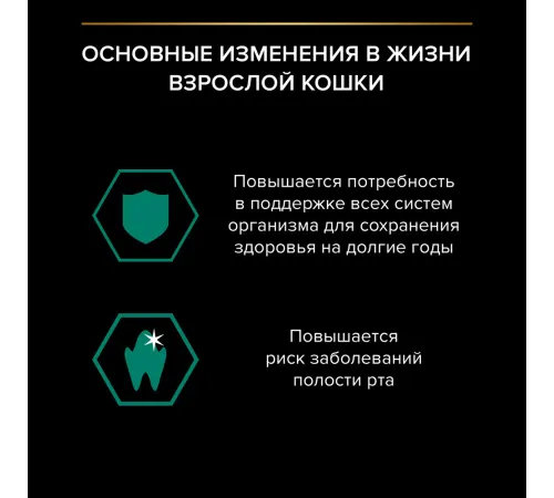 Pro Plan Adult Maintenance (Ягненок в желе), 85 г