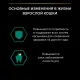 Pro Plan Adult Maintenance (Ягненок в желе), 85 г
