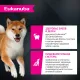 Eukanuba Adult Small & Medium Breed (Ягненок), 800 г
