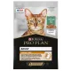 Pro Plan Derma Care (Треска в соусе), 85 г