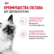 Royal Canin Kitten (соус) 85 гр