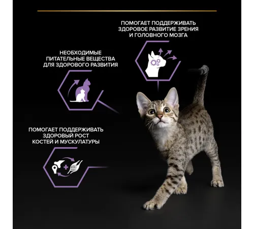 Pro Plan Kitten Healthy Start (Курица в желе), 85 г