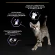 Pro Plan Kitten Healthy Start (Курица в желе), 85 г