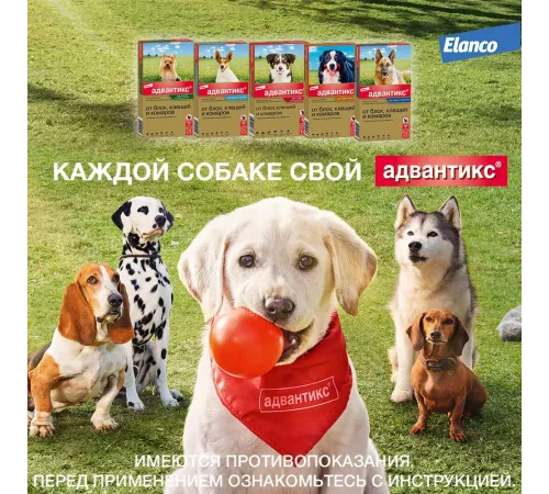 Elanco Адвантикс для собак до 4 кг, 1 пипетка