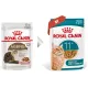 Royal Canin Ageing (соус) 11+, 85 гр  х 12 шт 