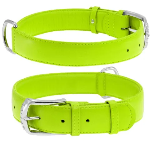 Collar Ошейник 