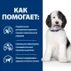 Hill's Prescription Diet c/d Multicare Urinary Care для собак (курица), 1,5 кг