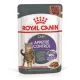 Royal Canin Appetite Control Care (соус), 85 г х 12 шт (уп)
