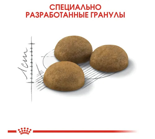 Royal Canin Indoor Long Hair, 400 г