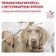 Royal Canin Renal Select Dog, 2 кг