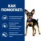 Hill's Prescription Diet Metabolic Mini для собак (курица), 1 кг