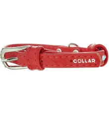 Collar Ошейник 