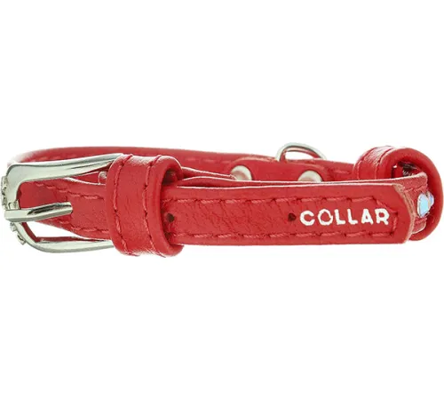 Collar Ошейник 