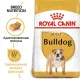 Royal Canin Bulldog Adult, 3 кг