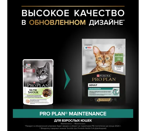 Pro Plan Adult Maintenance (Ягненок в желе), 85 г